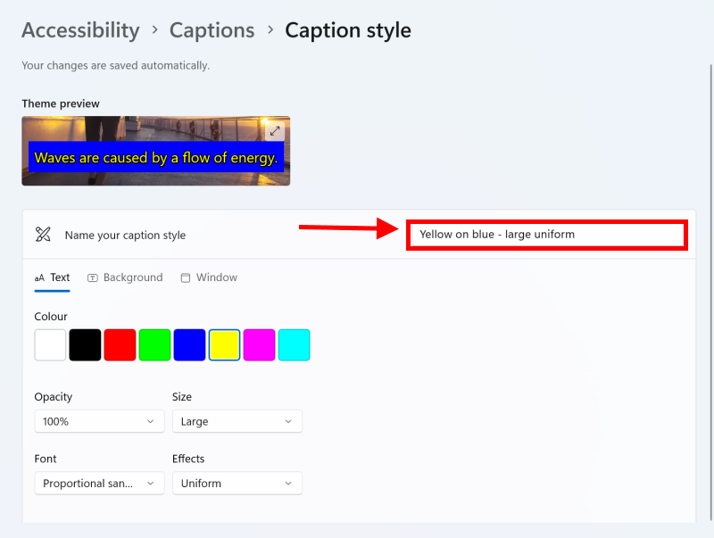 Click where it says Name your caption style to enter a new name and save it.